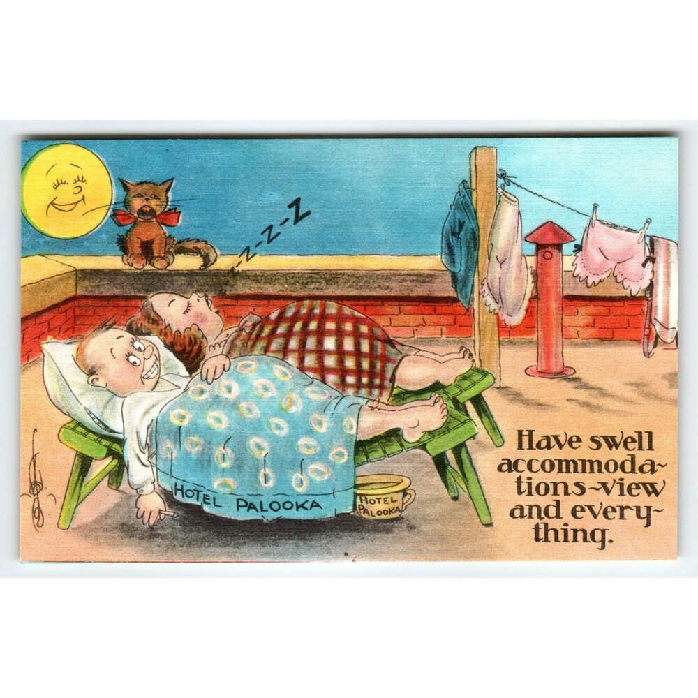 Cat On Roof Moon Man Hotel Palooka Humor Funny Comical Postcard Linen Unused